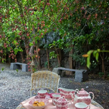 Citrus, Between Etna And The Sea Villa *