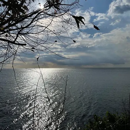 Citrus, Between Etna And The Sea Acireale