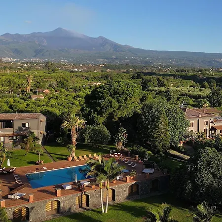Citrus, Between Etna And The Sea *