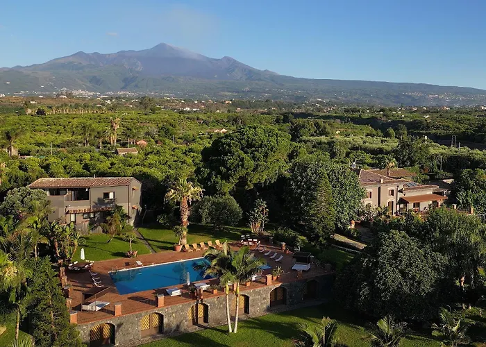 Citrus, Between Etna And The Sea *