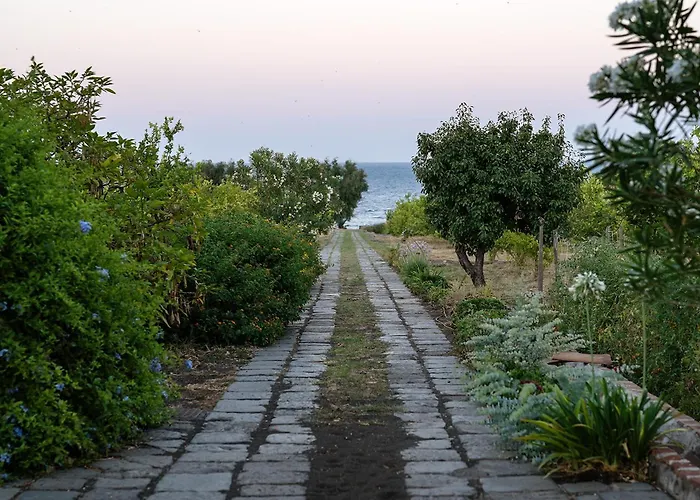 Citrus, Between Etna And The Sea Villa Acireale