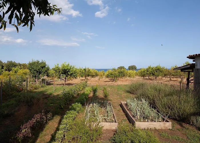 Villa Citrus, Between Etna And The Sea Acireale